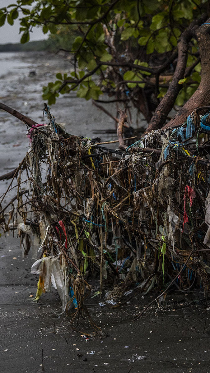 Plastics Are Choking the Sea - SONDA Internacional