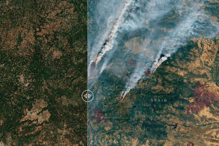 Cientos de miles de hectáreas quemadas en Galicia durante una temporada récord de incendios
