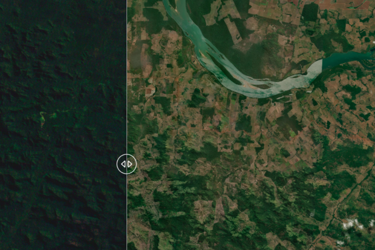 Deforestation in São Félix do Xingu, Brazil