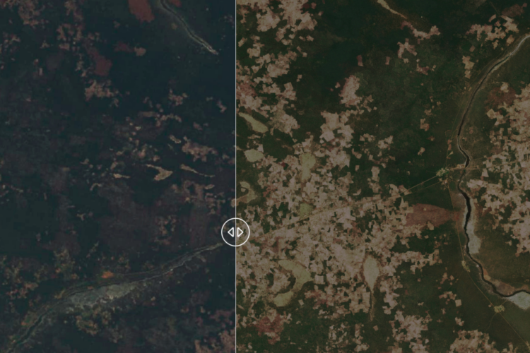 Deforestation in Menongue, Angola